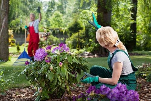 Team performing hedge trimming in a Shadwell garden