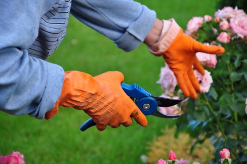 Team starting hedge trimming work in Shadwell